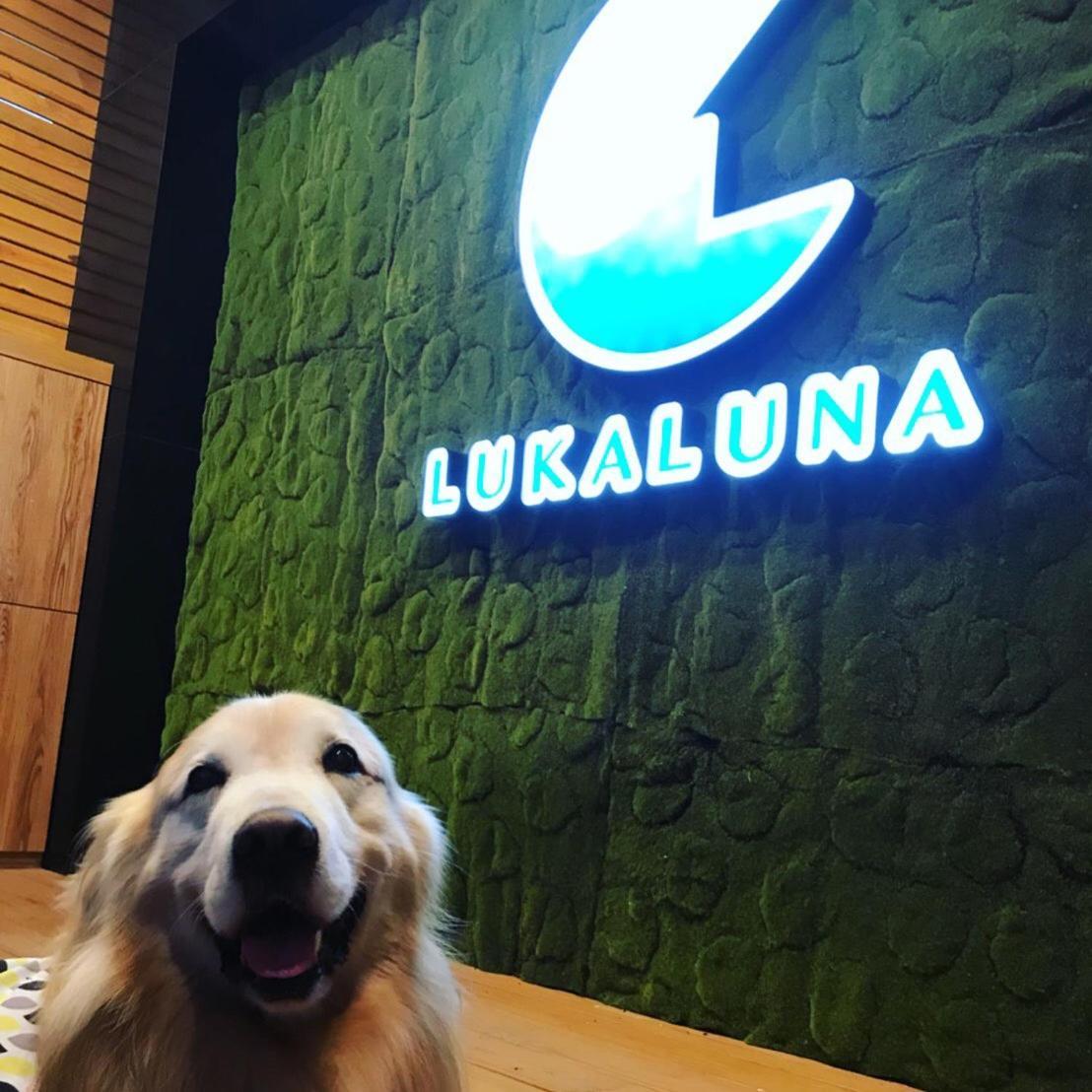 Luka Luna B&B Taitung Exterior foto